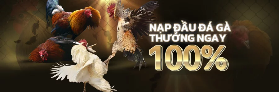 Tham gia đá gà online ngay nào