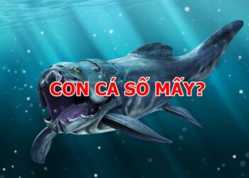 Con Cá Số Mấy? Mơ Thấy Con Cá Đánh Con Nào?