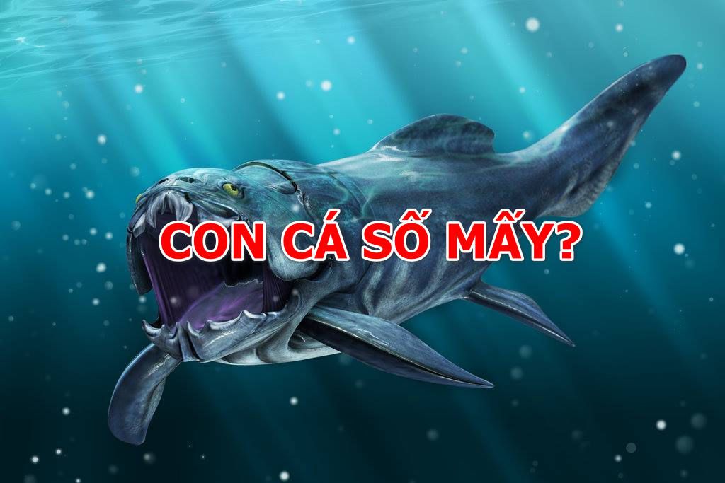 Con cá số mấy đánh con gì?